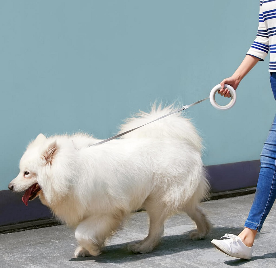 Телескопічний поводок для тварин Xiaomi MOESTAR UFO MS0030002 White вигул собаки
